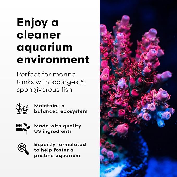 Brightwell Aquatics SpongExcel – Ionic Silica Solution for Marine Sponge & Gastropod Growth in Marine Aquariums, Boosts Water Quality, 2 L