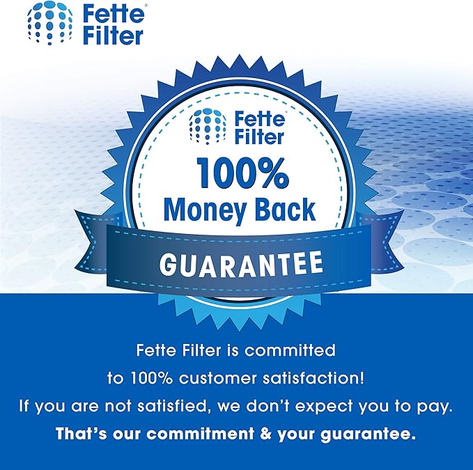 Fette Filter - HEPA Vacuum Air Filter Compatible with Electrolux Guardian LUX Aerus Epic 8000 9000 C134A C134B C134C C134D C134E C134F C154A C154B C154C C154D. Compare to Part # 47404 - Pack of 2