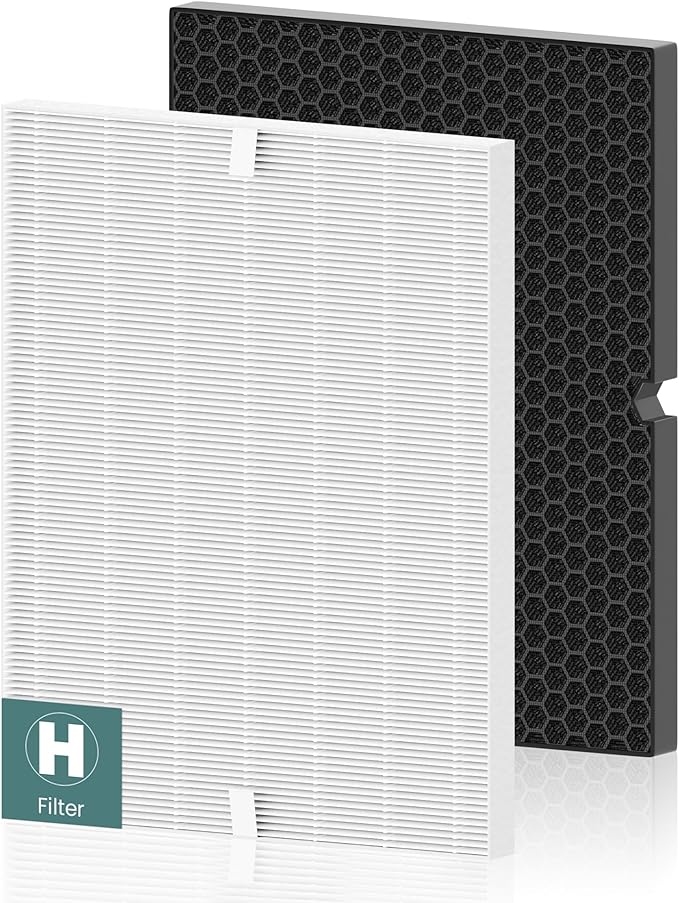 116130 Replacement Filter H for Winix 5500-2 AM80 Plasmawave Air Purifier, Includes 1 Pack True HEPA Filter and 1 Pack Activated Carbon Filter