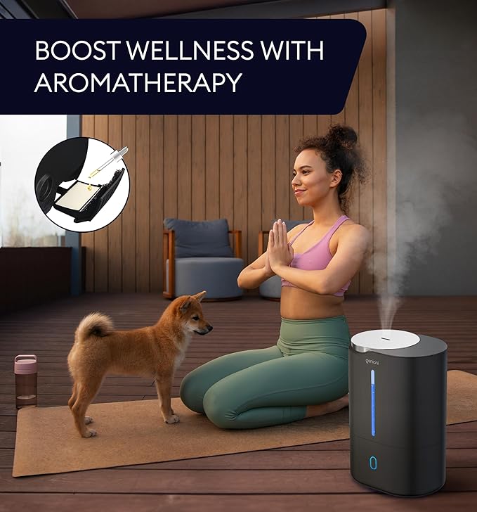 Top Fill Humidifier with Essential Oil Diffuser 6L for Home, Baby, Bedroom, Large Room & Indoor Plants, Cool Mist Ultrasonic Quiet Air Humidifiers, Automatic Humidity Control, Night Light (6L, Black)