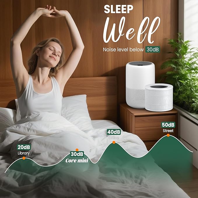 Core Mini Replacement Filter Compatible with LEVOIT Core mini-P Air Purifier, 3-in-1 Pre, H13 True HEPA, Activated Carbon Filtration System,Core Mini-RF,2 Filter & 10 Fragrance Sponge，By Improvedhand