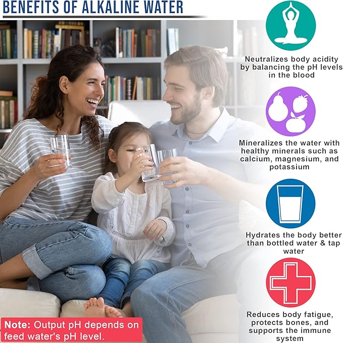 APEX EXPRT RF-1060 Replacement Countertop Water Filter, 5 Stage Mineral pH Alkaline Water Filter Cartridge, Easy Install Water Purifier - Reduces Heavy Metals, Bad Taste and Up to 99% of Chlorine