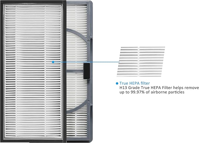 A/D/H True HEPA Replacement Filter, Advanced Allergen + Bacteria & Virus, Compatible with Filtrete FAP-TT-ADH, Replacement for Holmes HAP9243, Compare to AND Honeywell HPA060(BWM), 2 Pack