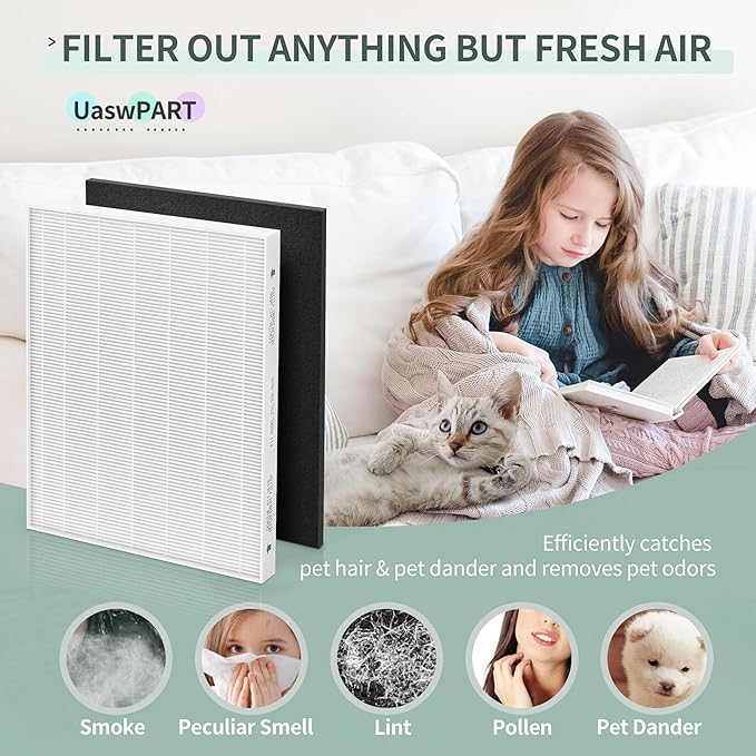 Aera Max 300 Filter Replacement Compatible with Fellowes Aeramax 290/300/DX95 Purifiers Air Filter 9287201, Also Fit AP-300PH HF-300, 3 White Filters & 6 Carbon Pre-Filters