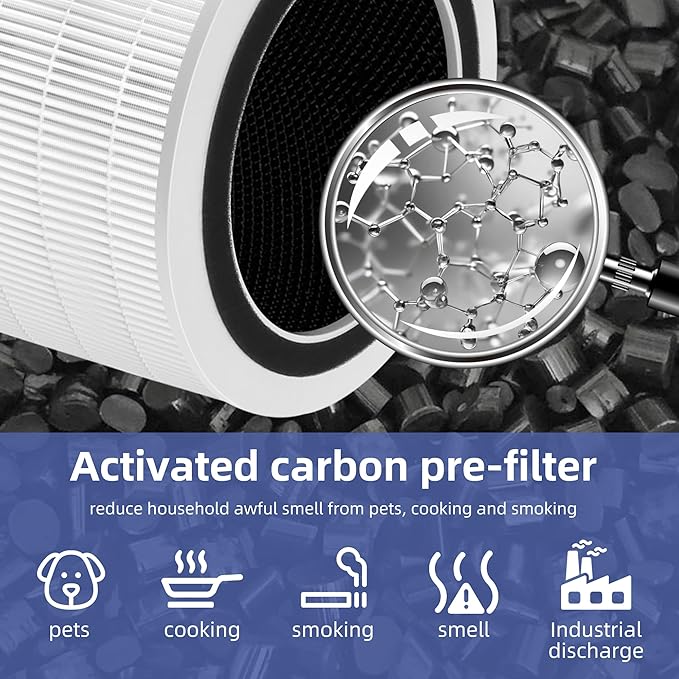 12010 HEPA Replacement Filter for Clorox Large Room Air Purifier 11010 & 11011,3-in-1 H13 True HEPA with Activated Carbon Filter,2 Pack