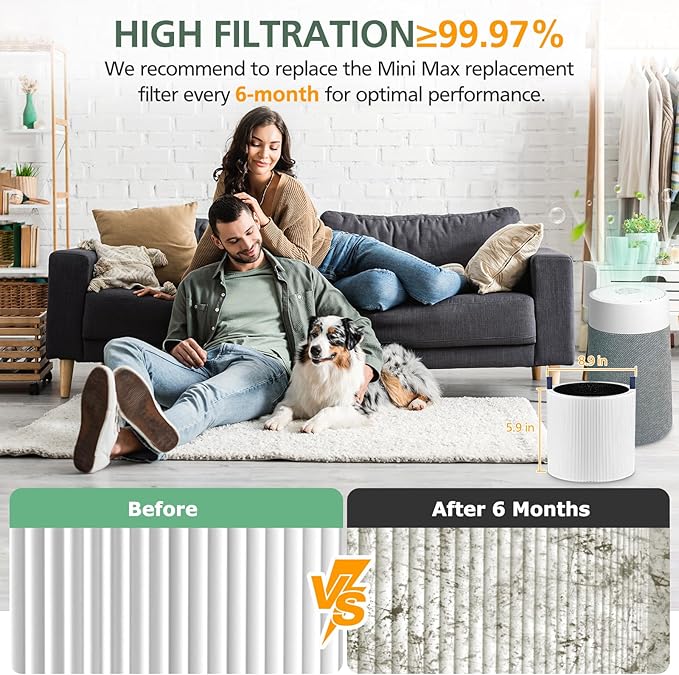 2 Pack Mini Max Replacement Filter Compatible with Blueair Blue Pure Mini Max Air Purifiers, HEPA & Activated Carbon Blue Pure FMINI Filter Fits for Blue Pure Mini Max