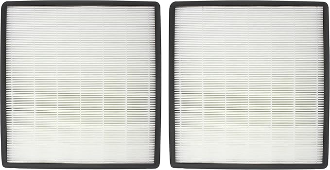 Fette Filter - Air Purifier True HEPA Filter F Compatible with Holmes HAP769. Compare to Part # HAPF700 (2 Pack)
