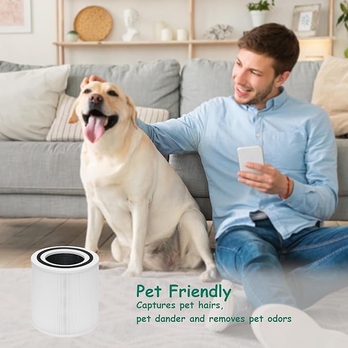 TT-AP005 Filter Replacement, Compatible with TaoTronics TT-AP005 Air Purifier, 3-in-1 Pre-Filter, H13 Grade True HEPA and Activated Carbon Filters, 2 Pack