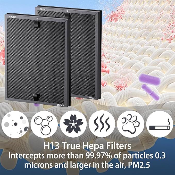 HAP602 Replacement Filter for ECOSELF HAP602 / HAP602WF Air Purifier, 3 IN 1, H13 True Hepa with High-Efficiency Activated Carbon and Pre-Filter, 2 Pack