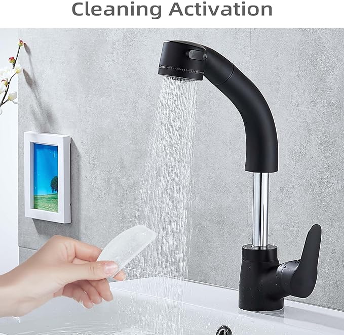 12 Pack Replacement Filters for D30 67oz/2L Automatic Pet Fountain, Carbon Cat Water Fountain Filters, Triple Filtration Pet Fountain Filter Replacement (6Pcs Pump Filters)