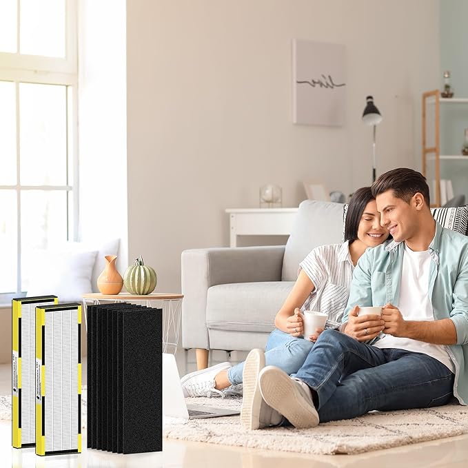 FLT4825 HEPA Filter B Replacement for Guar.dian Air Purifier AC4825 AC4300 AC4800 AC4900 AC4850, 2 HEPA Filter and 8 Pre-Filter by NISHCON