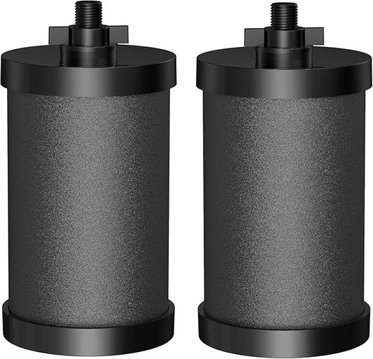 2387 Pro Black Filter, NSF/ANSI 42 Certified Replacement for Alexapure 2387 Filter, Compatible with Alexapure Water Filtration System 5000 Gallon, 2 Pack