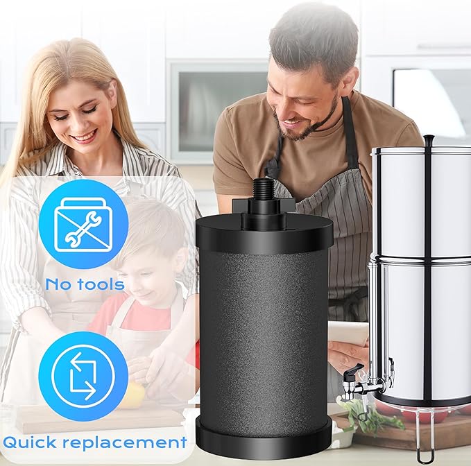 2387 Pro Black Filter, NSF/ANSI 42 Certified Replacement for Alexapure 2387 Filter, Compatible with Alexapure Water Filtration System 5000 Gallon, 2 Pack