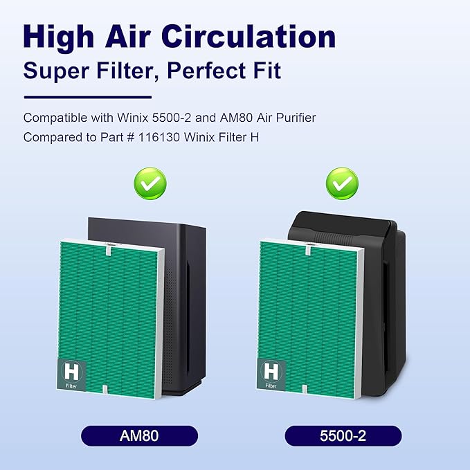 116130 Toxin Absorber Replacement Filter H for Winix 5500-2 AM80 Plasmawave Air Purifier, True HEPA Filter and Activated Carbon Filter Combo Pack, 2 Set, Green