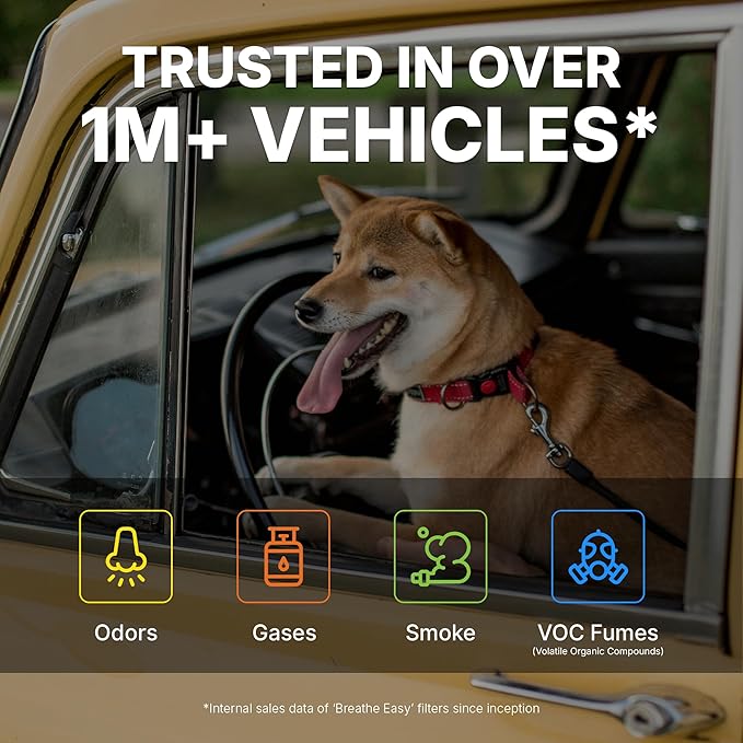 Spearhead Odor Defense Breathe Easy Cabin Filter | Fits 15-25 F-150, 22-25 F-150 Lightning, 17-25 F-250/350, 18-24 Expedition, 18-24 Navigator | Up to 25% Longer Lasting w/Activated Carbon (BE-150)