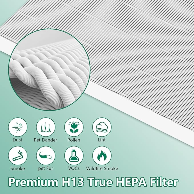 2 Pack C545 True HEPA Replacement Filter S Compatible with C545, B151, P150, 9300 Air Purifier, Replaces for Winix Filter S 1712-0096-00 and 2522-0058-00