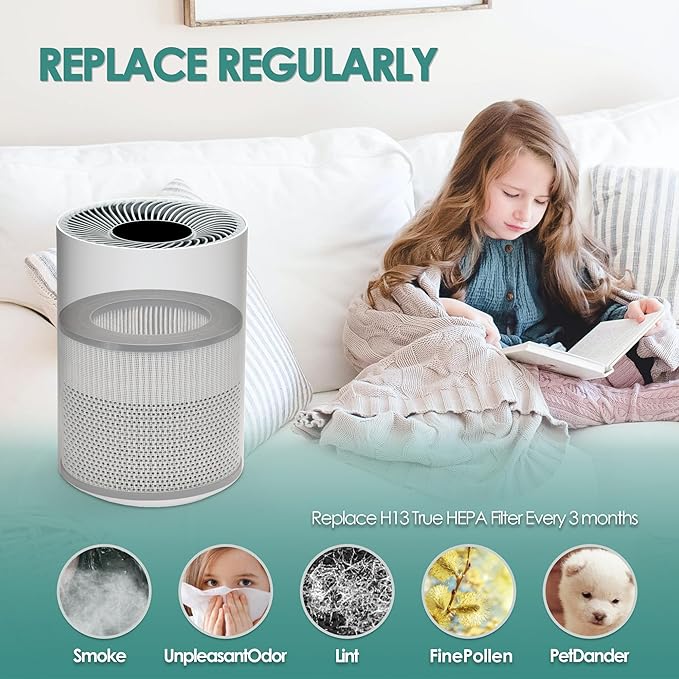 Bissell 2801 MY Air Filter Replacement - 4 Pack Compatible with Bissell MY-Air Air Cleaner 2780, 2780A, 2780B, 2780P and 27809