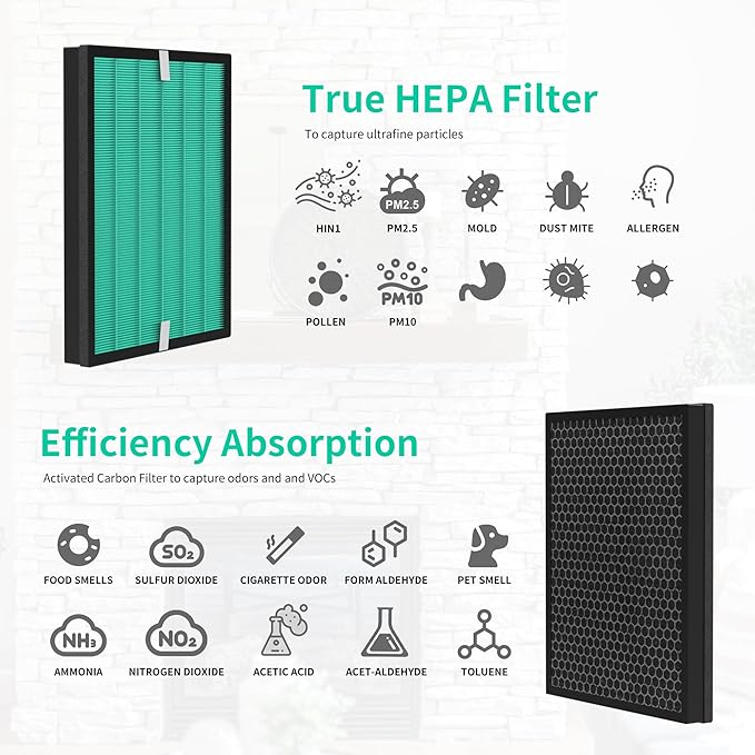 2 Pack Upgraded Airmega 150 Filter Replacement Compatible with Coway Airmega 150 (AP-1019C) & Airmega 160 Air Purifiers, True HEPA and Enhanced Activated Carbon Filter, AP-1019C-FP (Enhanced 150)