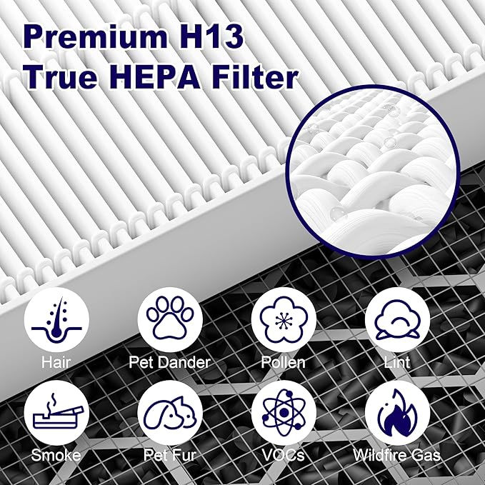 116130 Replacement Filter H for Winix 5500-2 AM80 Plasmawave Air Purifier, True HEPA Filter and Activated Carbon Filter Combo Pack, 2 Set