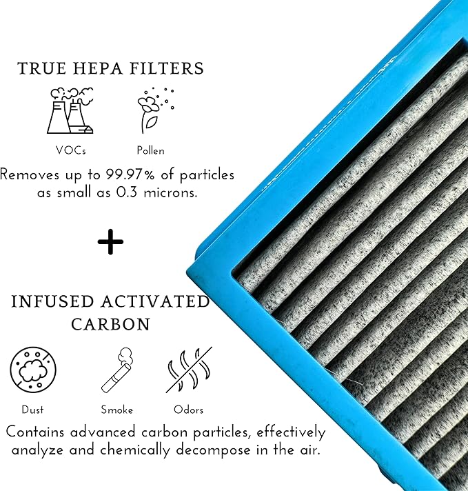 Nispira AER1 Filter Replacement for Holmes Air Purifier HAPF30AT HAP242-NUC, True HEPA Carbon Infused Odors Dust VOCs Remover, 4 Packs 1.2 x 10 x 4.6 Inches