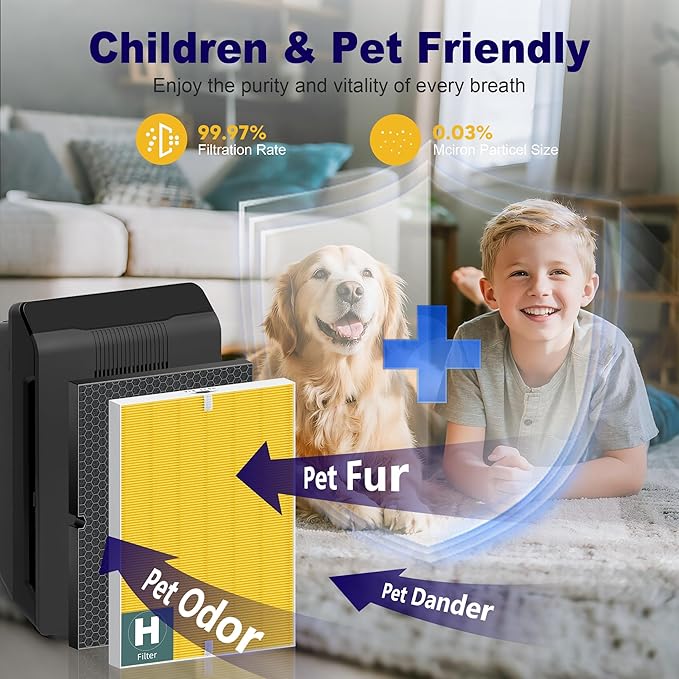 116130 Pet Care Filter Replacement Filter H for Winix 5500-2 AM80 Plasmawave Air Purifier, True HEPA Filter and Activated Carbon Filter Combo Pack, 2 Set