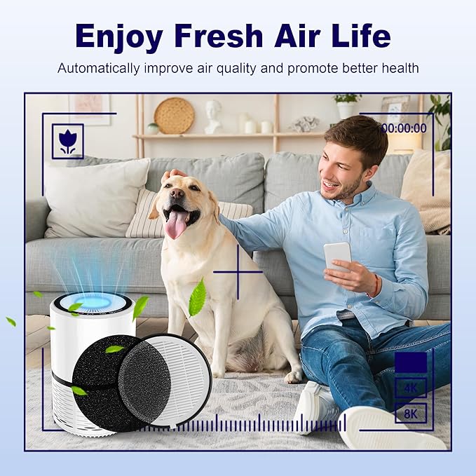 LV-H132 Replacement Filter Compatible with LEVOIT LV-H132 Air Puifier, 3-in-1 H13 Grade True HEPA High-Efficiency Activated Carbon Filter, Part # LV-H132-RF, 2 Pack