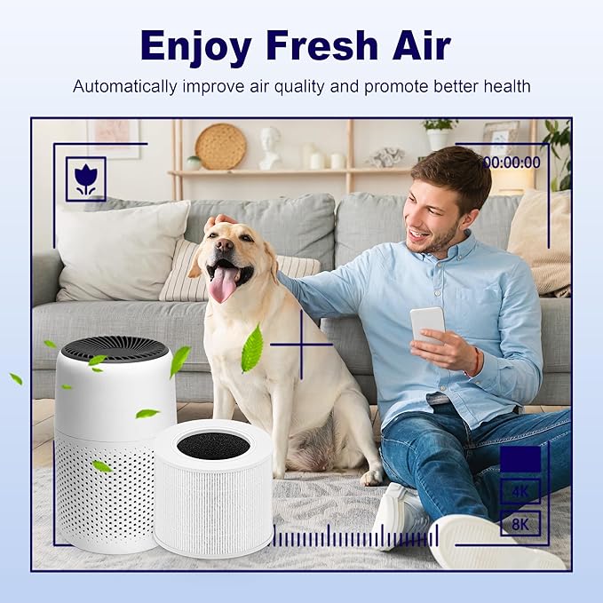 Core Mini Replacement Filter for LEVOIT Core Mini and Core Mini-P Air Purifier, 3-in-1 H13 Grade True HEPA and High-Efficiency Activated Carbon, Core Mini-RF, 2 Filter & 10 Fragrance Sponge