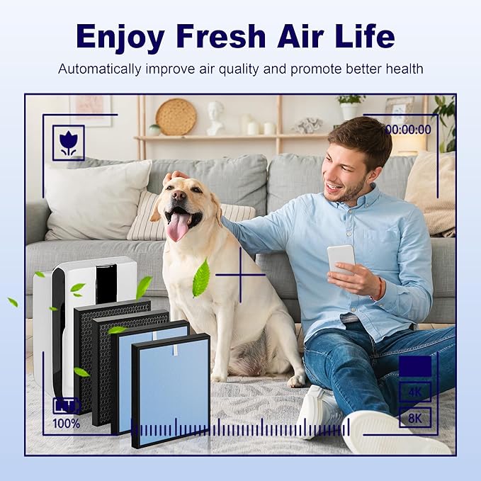 HSP001 Filter Replacements Compatible with HATHASPACE HSP001 Air Purifier, 4 in 2 H13 True HEPA and Activated Carbon Filter, 2 Pack