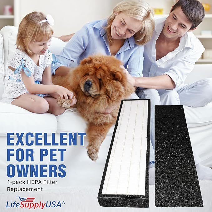 LifeSupplyUSA True HEPA Replacement Compatible with GermGuardian FLT5000/FLT5111 AC5000 Series Air Cleaners, Filter C (4-Pack)