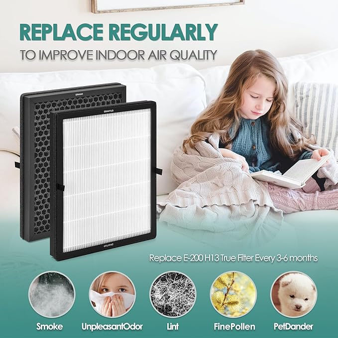 2-Pack E-200 Filter Replacement Kit Compatible with LUNINO Air Purifier Replacement Filter DSHAAPO04FE for LUNINO Air Purifier E-200, 3-in-1 Filtration, 2 High-Efficiency Filter & 6 Aromatherapy Pad