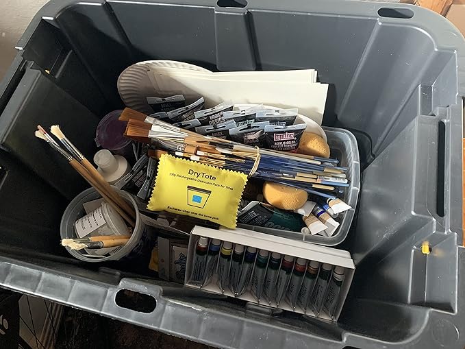 100g Rechargeable Desiccant Pack of 5 - Moisture Absorbing Bag - Silica Gel Desiccant Dehumidifier for Storage Bins and Totes