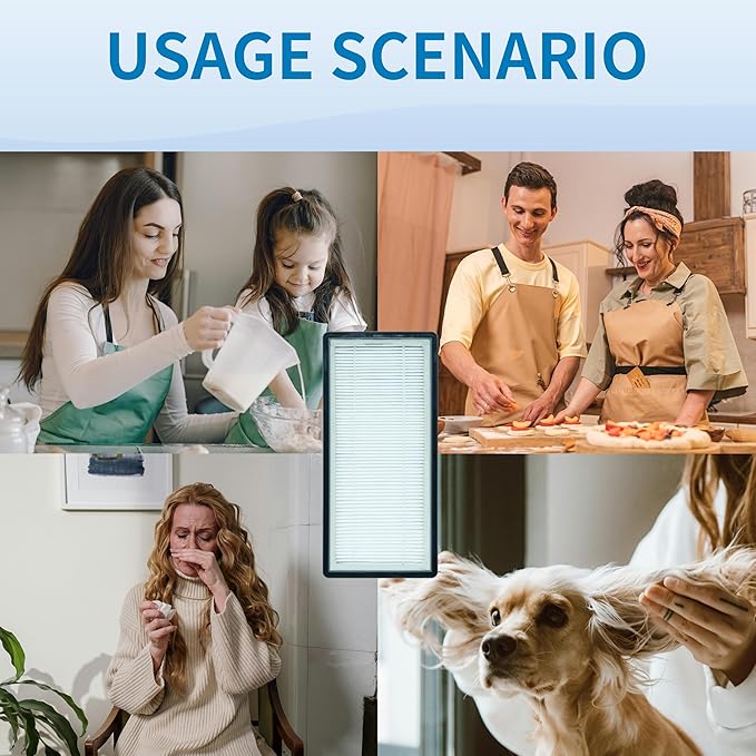 A/D/H HEPA-Type Replacement Filter, Compatible with Filtrete FAP-TT-ADH and Holmes HAP9243/HAP9415/HAP9423 Air Purifier, Compare to Honeywell HPA060(BWM), 2 Pack (ADH-H11)