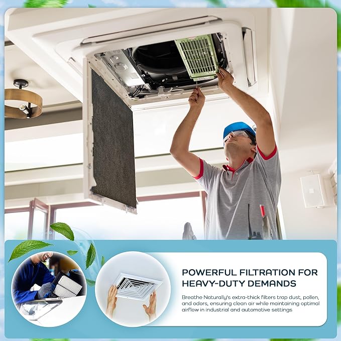 Breathe Naturally Replacement Filters Compatible with Winix C535, Plasmawave 5300, 6300 and Aeramax 300/290 Air Purifiers - HEPA Filters - Carbon Activated Filter (1 HEPA Filter + 4 Carbon Prefilters)