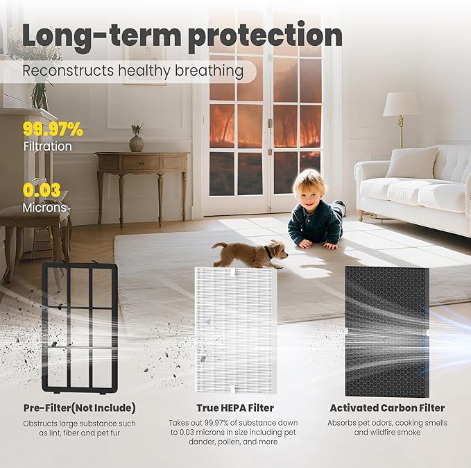 116130 Replacement Filter H for Winix 5500-2 AM80 Plasmawave Air Purifier, Includes 1 Pack True HEPA Filter and 1 Pack Activated Carbon Filter