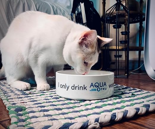 AquaTru Carafe Smart | Countertop Water Purifier for PFAS and Other Contaminants with Exclusive 4-Stage Ultra Reverse Osmosis Technology (No Plumbing or Installation Required) | BPA Free