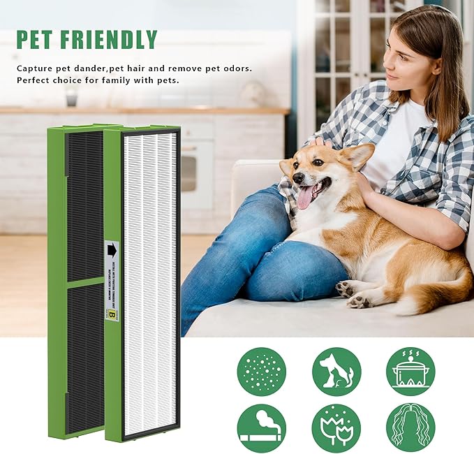 4 Pack FLT4825VO Toxin Clean True HEPA Replacement Filter B Compatible with AC4825 AC4825E AC4825W AC4300 AC4800 AC4900 AC4850 Air Cleaner Purifier with 8 Activated Carbon Pre-Filters