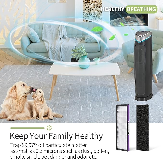 FLT5250PT Replacement Filter Compatible with Germ-Guardian Filter C Pet True Hepa Filter Air Pu-rifier AC5250PT AC5000E, 4 HEPA and 6 Pre-Filter