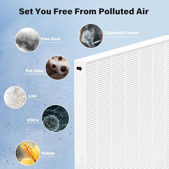 2 Pack Replacement Filter for Fellowes AeraMax 290/300/DX95 Purifiers and HF-300/AP-300PH, Fits Part# 9287201 & 9324201, 2 Filter and 6 Carbon Filter