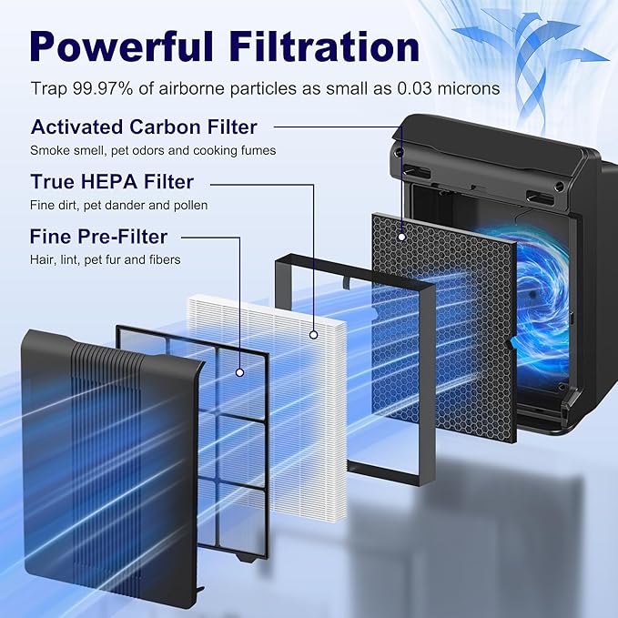 116130 Replacement Filter H for Winix 5500-2 AM80 Plasmawave Air Purifier, True HEPA Filter and Activated Carbon Filter Combo Pack, 1 Set