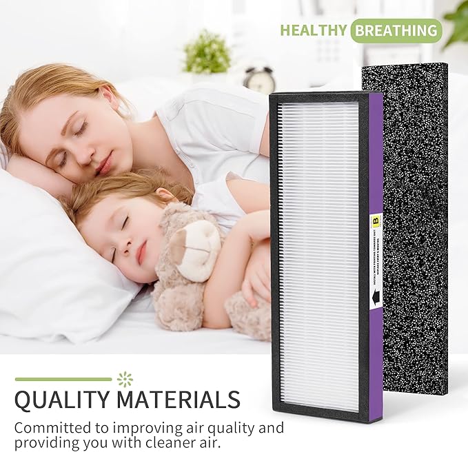 FLT4850PT Air Pu-rifier Filter Replacement Compatible with Germ-Guardian Filter B AC4850PT AC4300WPT AC4900 Air Pu-rifier, 4 HEPA and 6 Pre-Filters