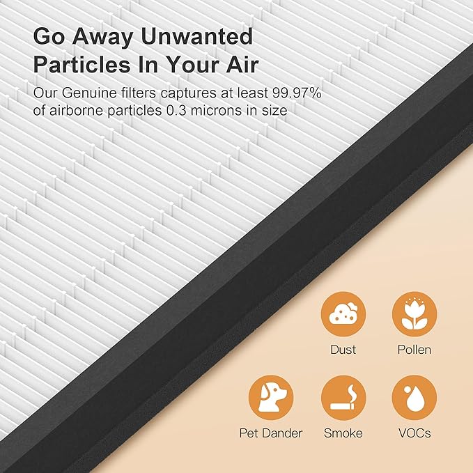 MORENTO 2 Pack HY4866 Genuine Air Purifier Replacement Filter for HY4866 Air Purifier, Original Version