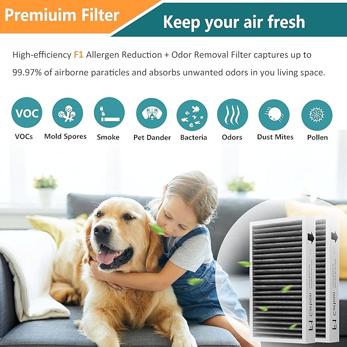 F1 Filter Allergen Reduction + Odor Removal, Compatible with Filtrete C01 T02 Room Air Purifier FAP-C01-F1 FAP-T02-F1, F1 Filter, 2 Pack