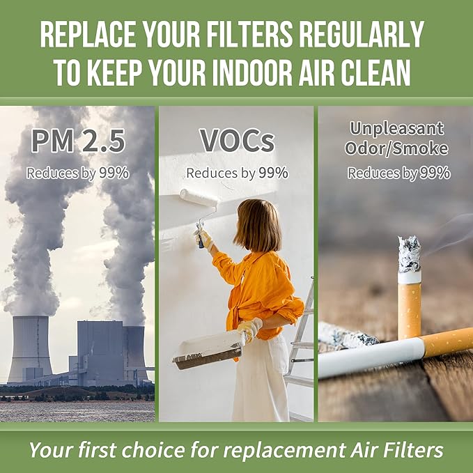 AP-B102 Replacement Filter Compatible with Alexapure Breeze Air Pu-rifier AP-B102 and 3049 Filter Set, 1 H13 True HEPA Filters and 1 Activated Carbon Filters Included