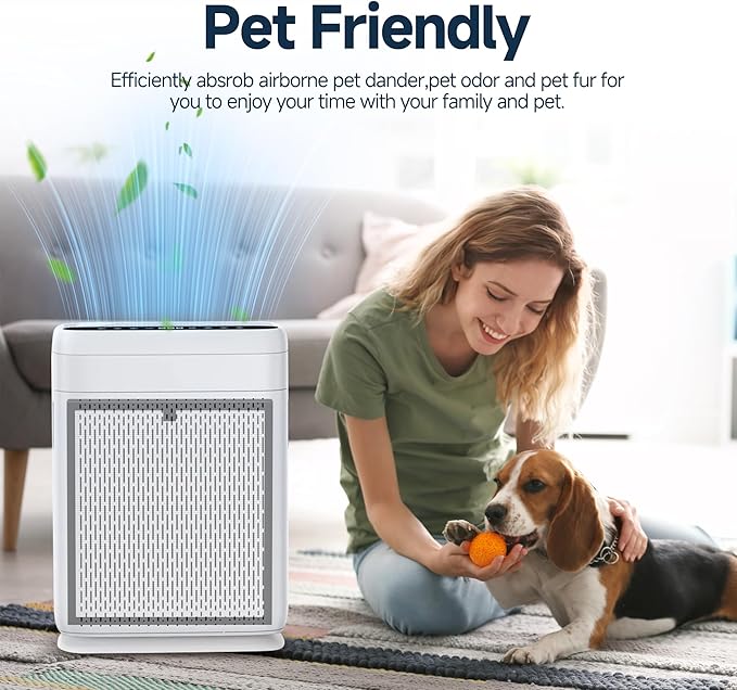 F1 Replacement Filters Compatible with AMEIFU F1 Double-Sided Air Cleaner Purifier, Premium Filter and Activated Carbon Filter, Part #‎F1F, 4 Pcs (Totally 2 Sets)