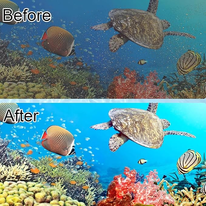 12 Pack Fish Tank Filter Cartridge for Whisper Bio-Bag Filters, Large Aquarium Replacement Filter Cartridges for Whisper Filters 20i,40i/IQ20,30,45,60/PF20,30,40,60 and ReptoFilter