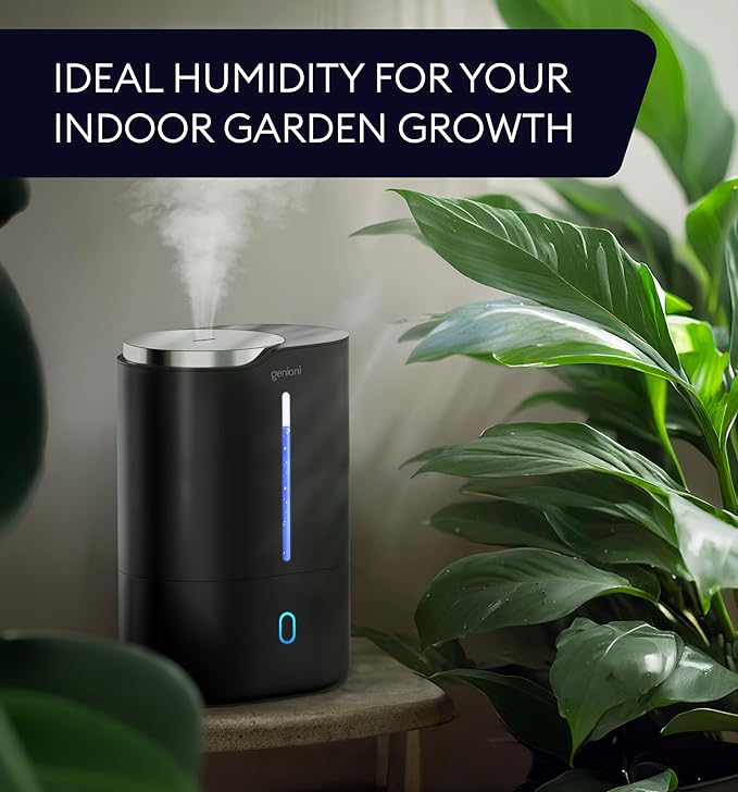 Top Fill Humidifier with Essential Oil Diffuser 6L for Home, Baby, Bedroom, Large Room & Indoor Plants, Cool Mist Ultrasonic Quiet Air Humidifiers, Automatic Humidity Control, Night Light (6L, Black)