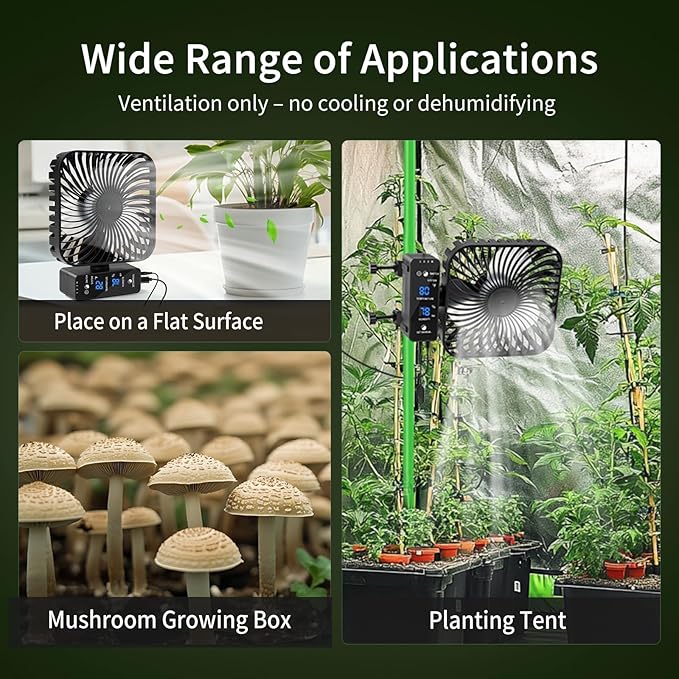 Grow Tent Fan 6”, LCD Display with Sensor, Adjustable Temp & Humidity Control, 4-Speed, 90° Oscillating Fan, Strong Airflow for Indoor Growing, Mushroom Box, Desk Use
