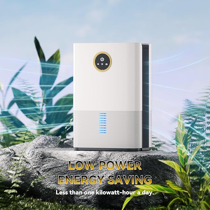 Dehumidifier for Room for Home, (850 sq.ft) Small Dehumidifiers with Drain Hose, Safe Drainage Auto-off Odor Removal 2 Duak-Core Portable Deshumificador Bathroom RV, 50 OZ Water Tank