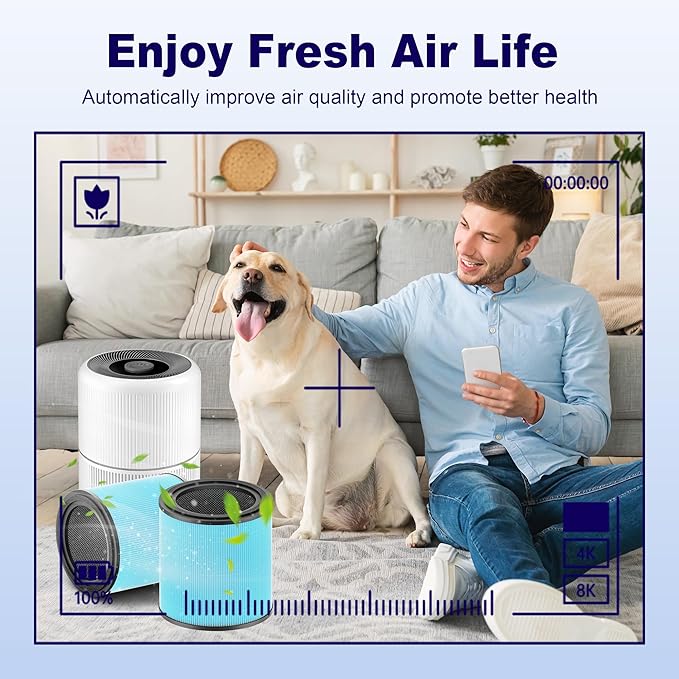 AP0601 Replacement Filter Compatible with AIRTOK AP0601 Air Purifier, 4-in-1 H13 True HEPA and High-Efficiency Activated Carbon Filter, AP0601-RF, 4 Pack