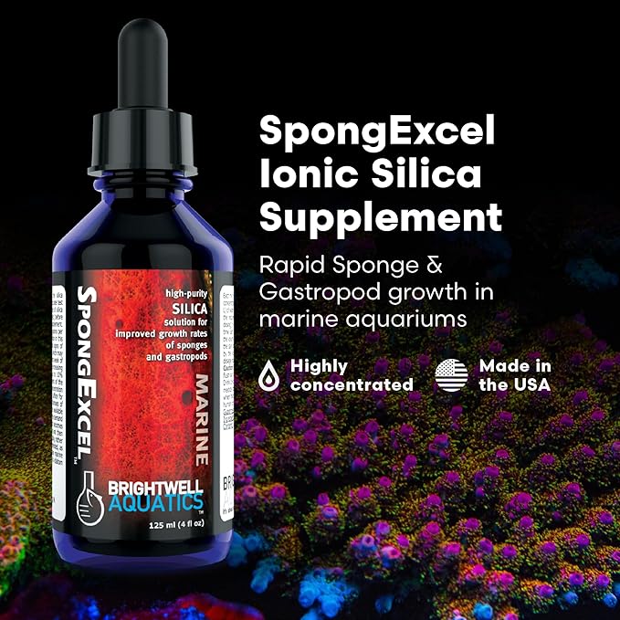 Brightwell Aquatics SpongExcel – Ionic Silica Solution for Marine Sponge & Gastropod Growth in Marine Aquariums, Boosts Water Quality, 60 ml